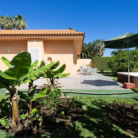 Finca La Gaviota - Los Limoneros Icod De Los Vinos Ngoại thất bức ảnh