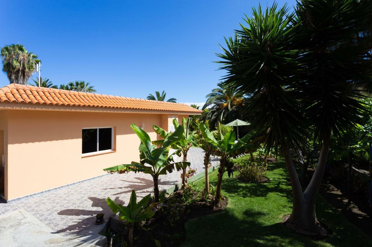 Finca La Gaviota - Los Limoneros Icod De Los Vinos Ngoại thất bức ảnh