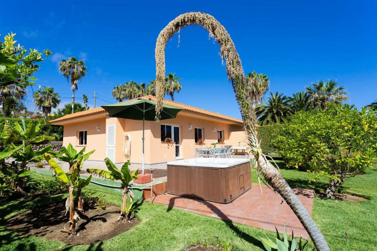 Finca La Gaviota - Los Limoneros Icod De Los Vinos Ngoại thất bức ảnh