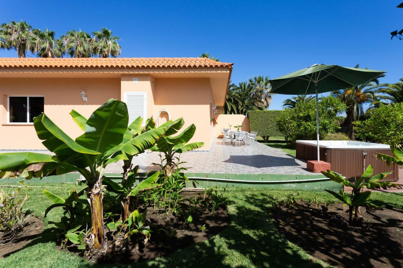 Finca La Gaviota - Los Limoneros Icod De Los Vinos Ngoại thất bức ảnh